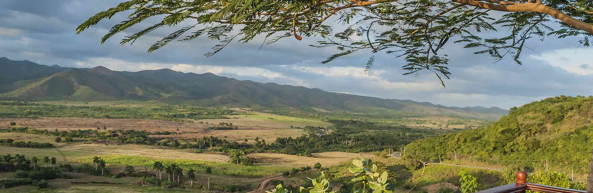 Trinidad: Un Paraíso Verde para el Ecoturismo Sostenible