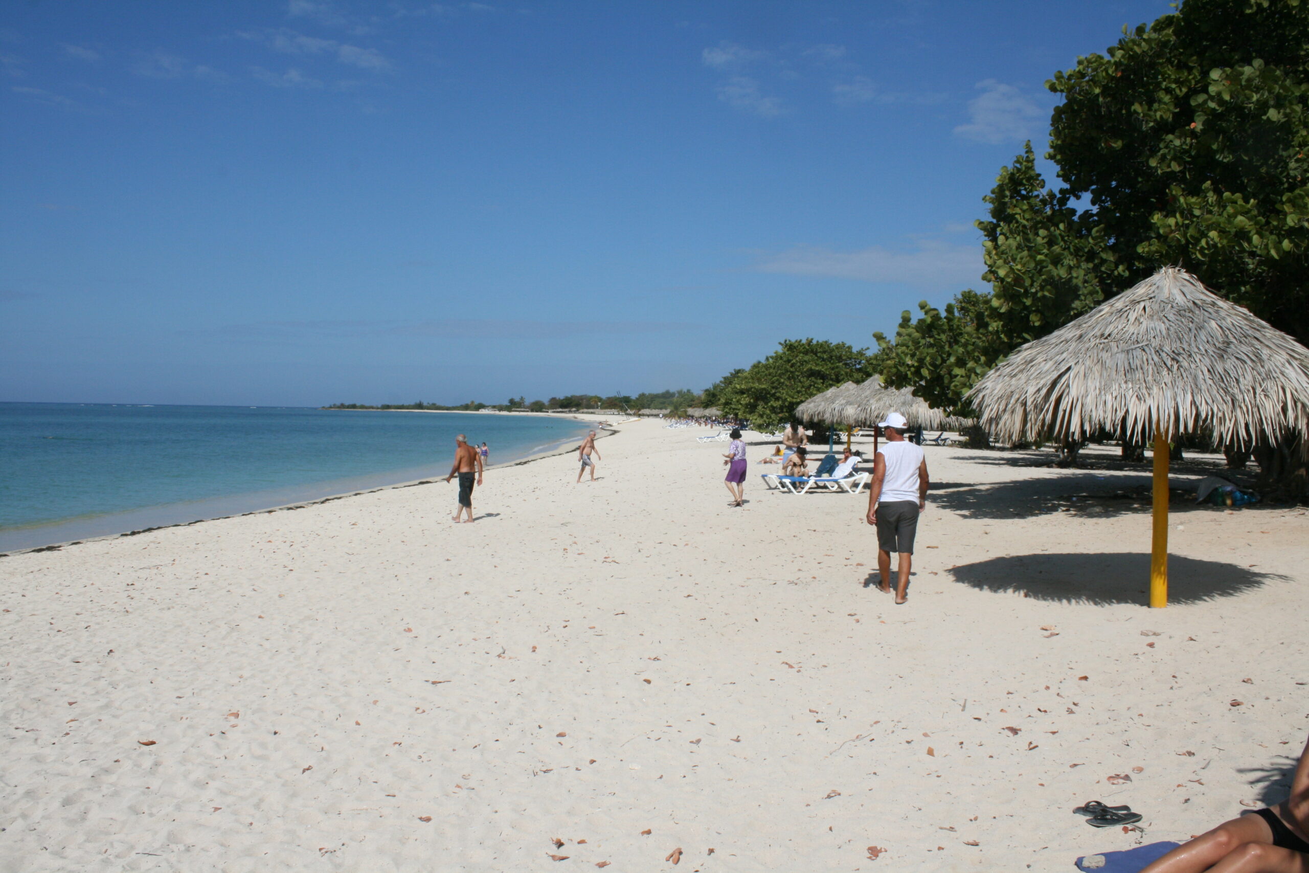 Transportación hacia y desde la Playa